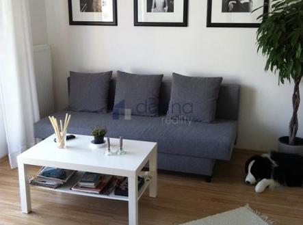 3.jpg | Pronájem bytu, 1+1, 50 m²
