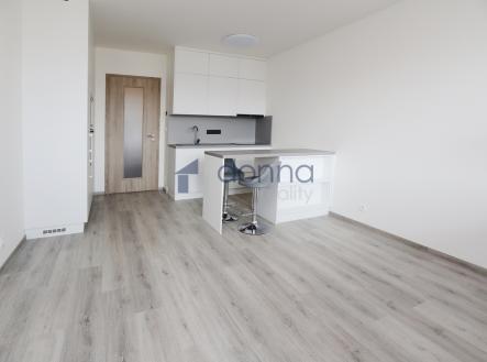 1.jpg | Pronájem bytu, 1+kk, 39 m²