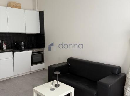 203420106-2.jpg | Pronájem bytu, 1+kk, 66 m²