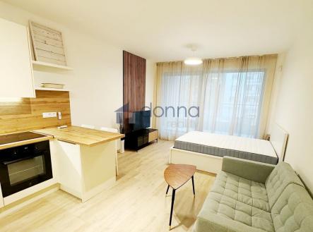 0.jpg | Pronájem bytu, 1+kk, 44 632 m²