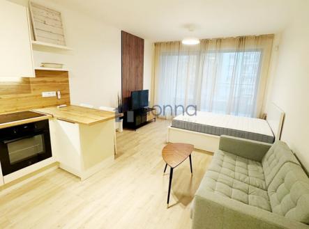 3.jpg | Pronájem bytu, 1+kk, 44 632 m²