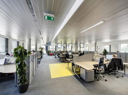 1.jpg | Pronájem - obchodní prostor, 1 637 m²