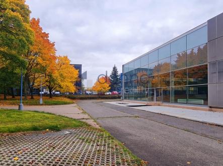 20.jpg | Pronájem - obchodní prostor, 2 799 m²