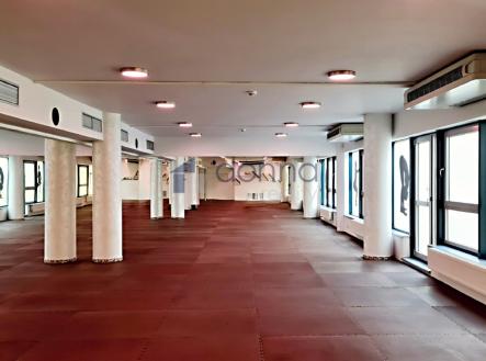 17.jpg | Pronájem - obchodní prostor, 360 m²