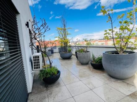 whatsapp-image-2025-11-18-at-09.32.34.jpeg | Pronájem bytu, 2+kk, 100 m²