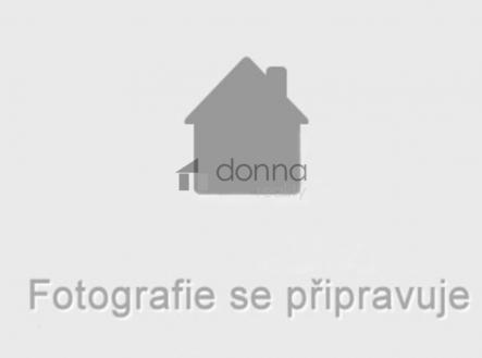 fotografie-se-pripravuje.jpg | Pronájem bytu, 1+kk, 41 m²