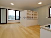 Pronájem bytu, 1+kk, 46 m²