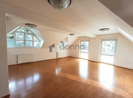 Pronájem - dům/vila, 251 m²