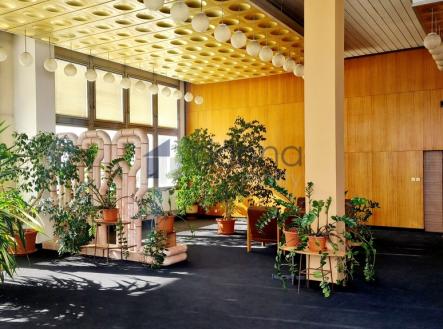 4.jpg | Pronájem - obchodní prostor, 233 m²