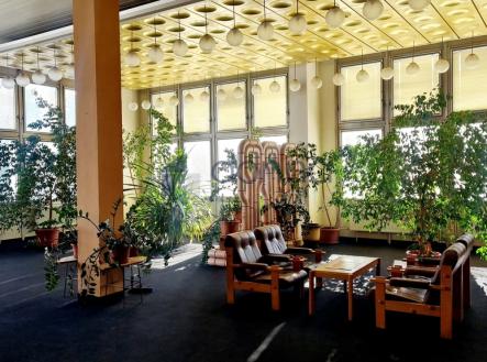 5.jpg | Pronájem - obchodní prostor, 233 m²