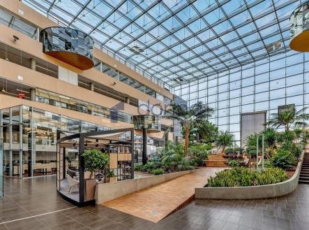 mezivodami-14.jpg | Pronájem - kanceláře, 1 365 m²