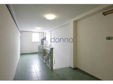 333.jpg | Pronájem - kanceláře, 206 m²