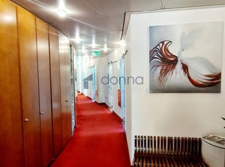 26.jpg | Pronájem - kanceláře, 50 m²