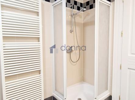 5.jpg | Pronájem bytu, 4+kk, 155 m²