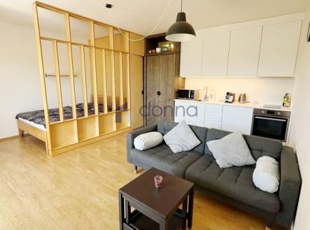 1.jpg | Pronájem bytu, 1+kk, 45 m²