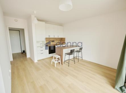 byt-505-1.jpg | Pronájem bytu, 1+kk, 44 m²