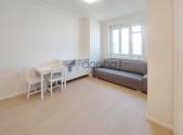 Pronájem bytu, 1+kk, 26 m²