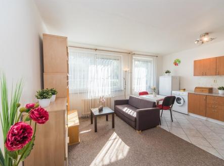 Pronájem bytu, 1+kk, 30 m² obrázek
