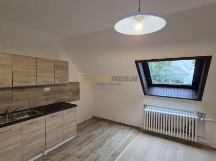 20240916-141732.jpg | Pronájem bytu, 2+kk, 48 m²