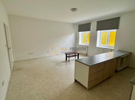 img-1279.jpeg | Pronájem bytu, 1+kk, 45 m²