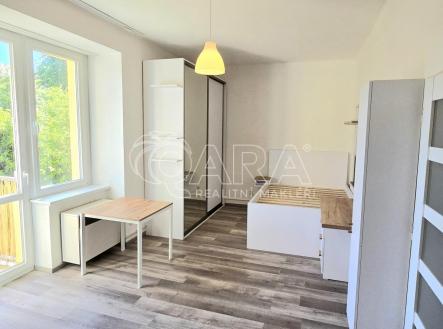 20260422_160025.jpg | Pronájem bytu, 1+1, 38 m²