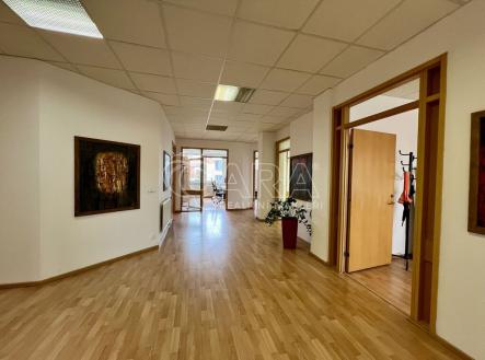 Pronájem - kanceláře, 430 m²