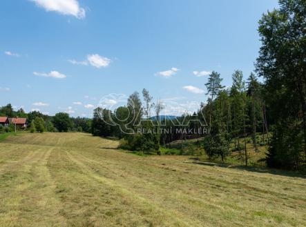 pozemek-stara-oleska-17-of-66.jpg | Prodej - pozemek, trvalý travní porost, 7 345 m²