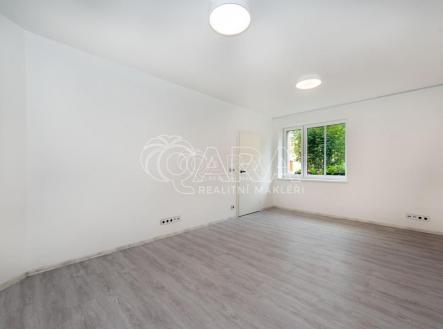 fotografie | Pronájem bytu, 1+1, 45 m²