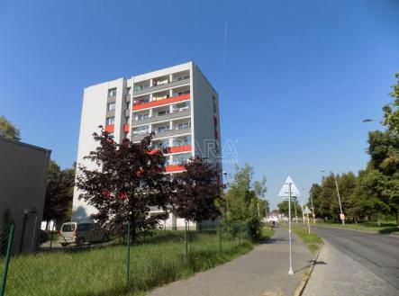 20230914135443-602.jpg | Pronájem bytu, 1+1, 35 m²