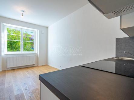 20231004144644-508.jpg | Pronájem bytu, 2+kk, 45 m²