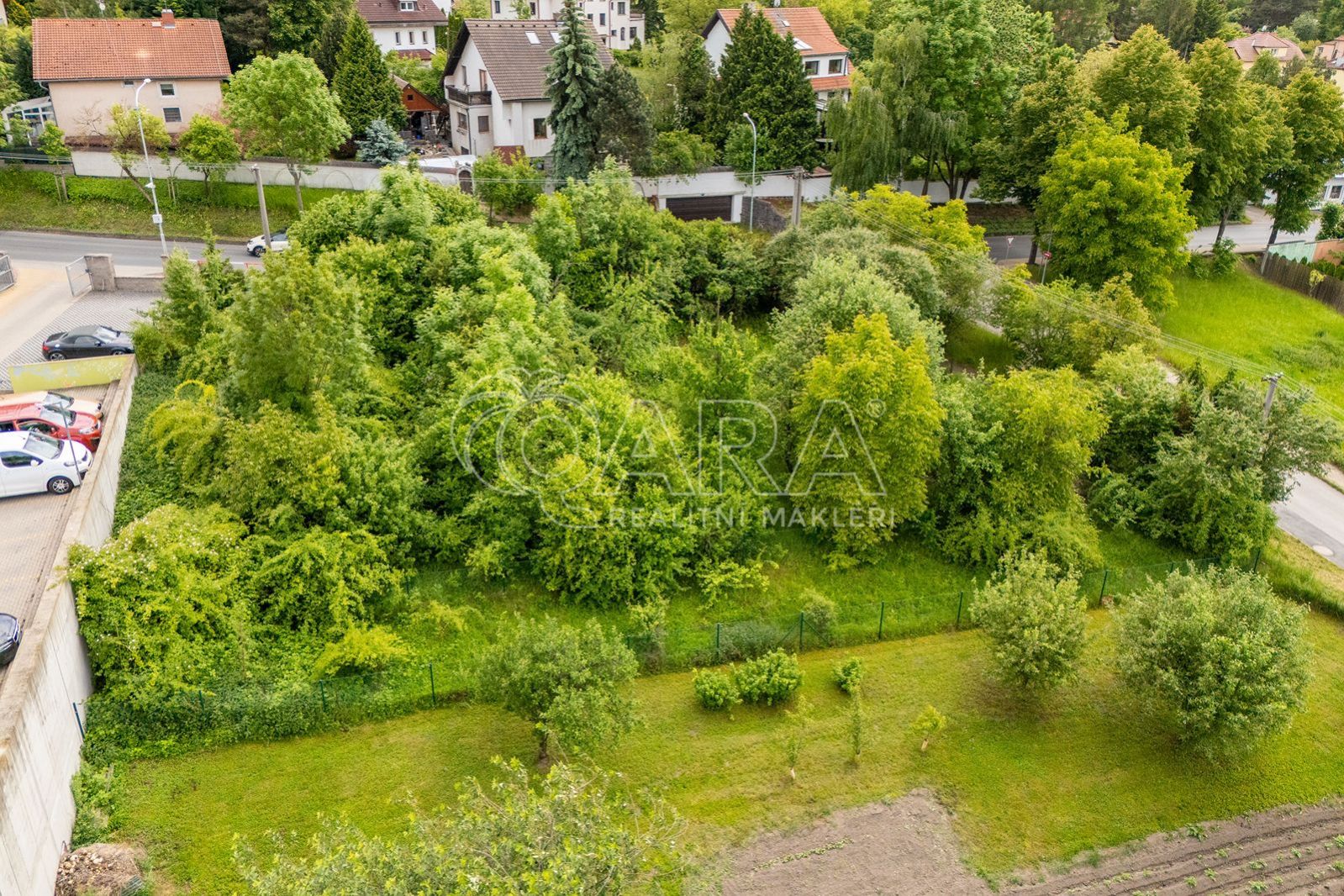 fotografie