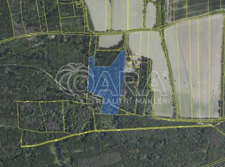 Prodej - pozemek, les, 26 306 m²