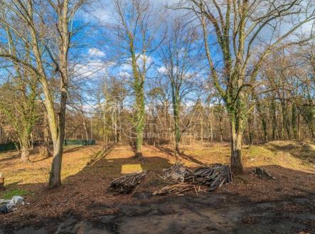 fotografie | Prodej - pozemek pro bydlení, 6 090 m²