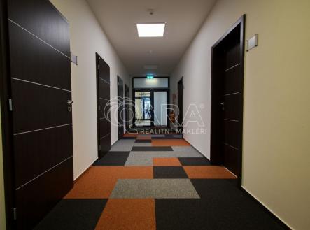 fotografie | Pronájem - kanceláře, 82 m²