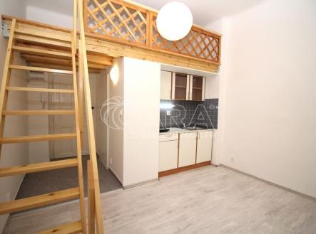 img-2239.jpg | Pronájem bytu, 1+kk, 24 m²