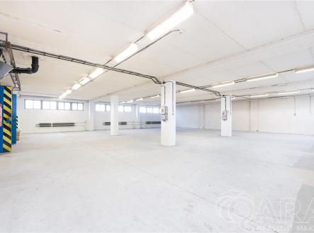 dsc-4019.jpg | Pronájem - skladovací prostor, 674 m²
