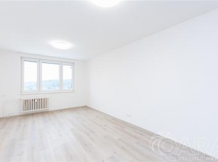 dsc-4444.jpg | Pronájem bytu, 1+kk, 30 m²