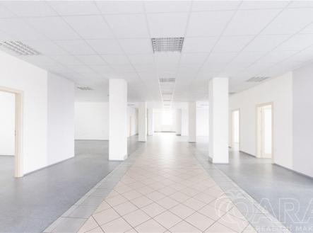fotografie | Pronájem - kanceláře, 614 m²