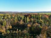 Prodej - pozemek, les, 457 172 m²