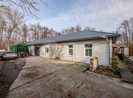 mg-6606.jpg | Pronájem - kanceláře, 252 m²