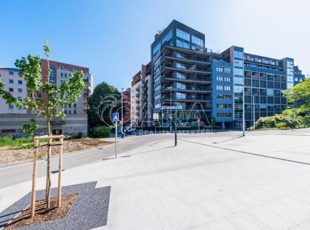 Pronájem bytu, 3+kk, 115 m² obrázek