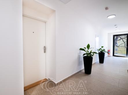 Domovní chodba | Pronájem bytu, 1+kk, 45 m²