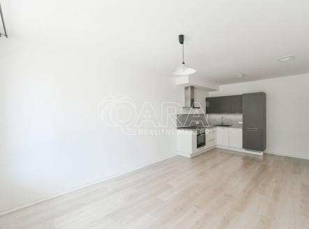 fotografie | Pronájem bytu, 2+kk, 76 m²