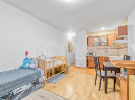dsc-6399.jpg | Pronájem bytu, 1+kk, 31 m²