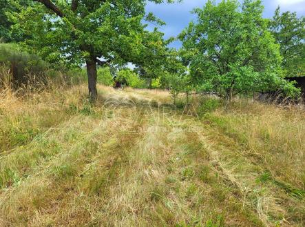 20230705-160333.jpg | Prodej - pozemek pro bydlení, 2 142 m²