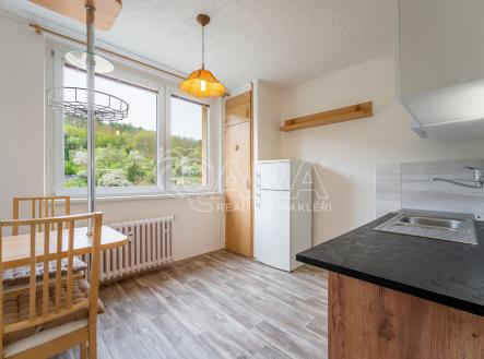 jasanov-09.jpg | Pronájem bytu, 1+1, 33 m²