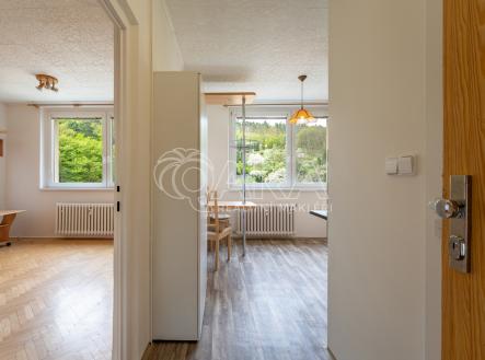 jasanov-03.jpg | Pronájem bytu, 1+1, 33 m²