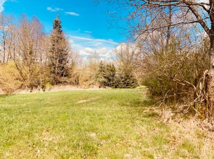 Prodej - pozemek pro bydlení, 2 191 m² obrázek