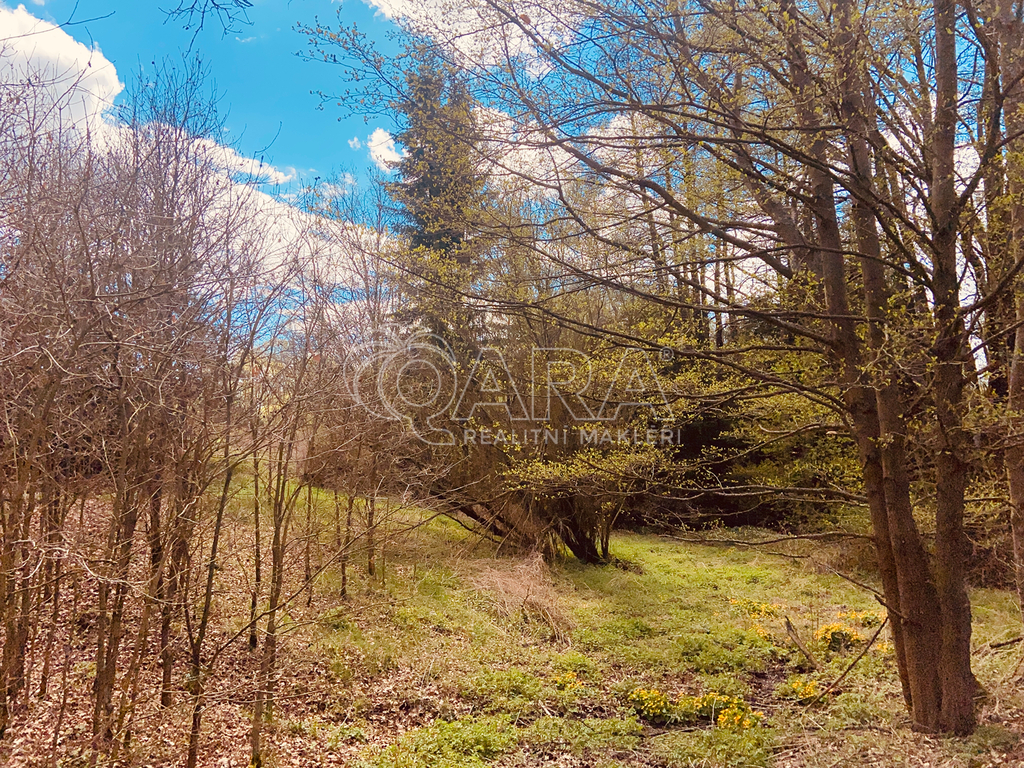 img-8927.jpg