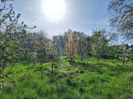 20250417-084215.jpg | Prodej - pozemek, zahrada, 517 m²